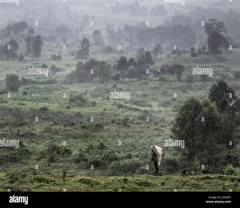 Rdc Forest Hi Res Stock Photography And Images Alamy