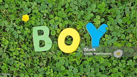 Boy Written Stock Photo Download Image Now Boys Child Grass Istock