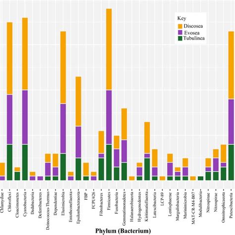 Krona Plot Of Bacterial Sequences Identified In The Whole Culture