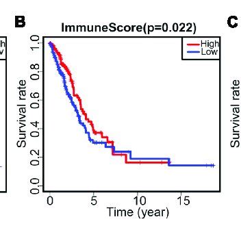 The Correlation Between Score And Survival Rate Of LUAD Patients A