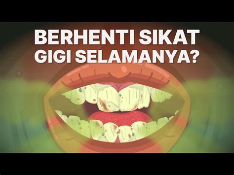 Temukan Manfaat Sikat Gigi Yang Jarang Diketahui Biotifor