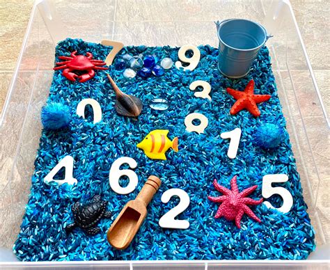 Ocean Number Hunt Sensory Bin Kit Etsy