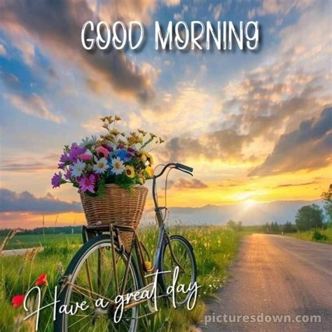 Good Morning Images Romantic Bicycle Picturesdown