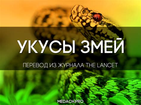 Укусы змей