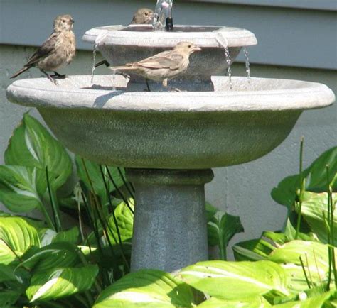 Chatsworth Solar Fountain Bird Bath For Outdoor Decor