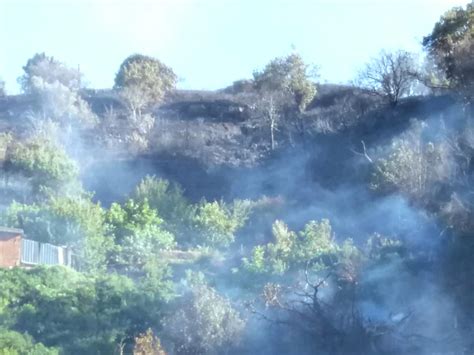 S Stefano Briga Incendio Divora Ettari Di Macchia Mediterranea