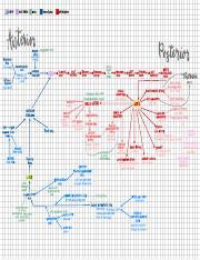 Comprehensive Study On The Circulatory System Course Hero