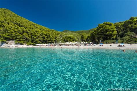 skopelos kastani beach Skopelos beaches, SKOPELOS.COM