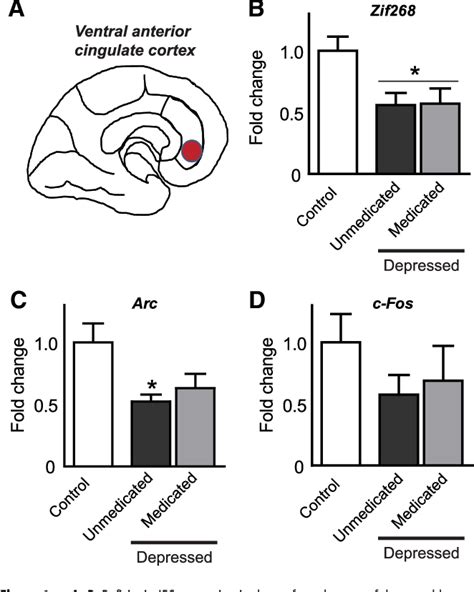 Figure 1 From Antidepressant Effect Of Optogenetic Stimulation Of The Medial Prefrontal Cortex