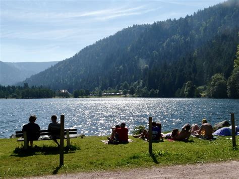 See You Next Year Camping Les Jonquilles Vosges Xonrupt Gerardmer