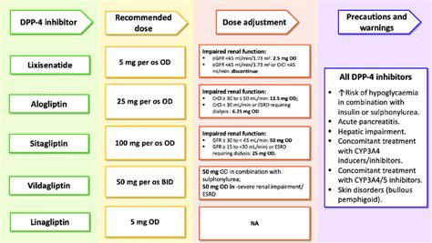 Dipeptidyl Peptidase 4 Dpp 4 Inhibitors Dosing Dose Adjustment And