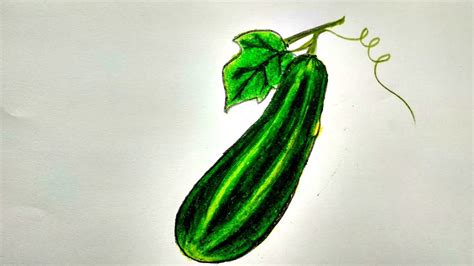 How To Draw A Cucumber Step By Step Easy This Tutorial Shows How To