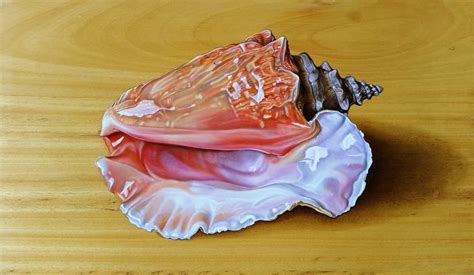 Conch Shell Paintings