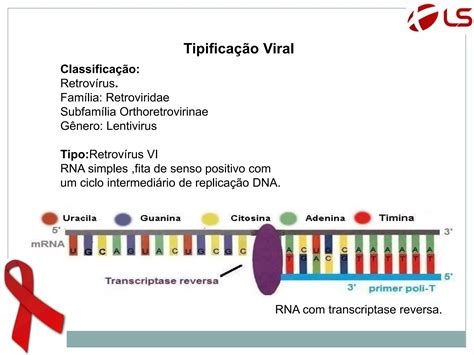 O Que é Hiv Como Se Contrai O Vírus O Que é Aids Ppt Download