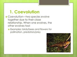 Types of evolution notes | PPT