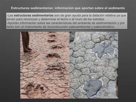 Estructuras Sedimentarias Ppt