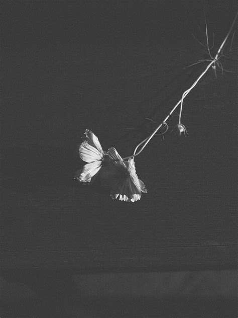 Zara Is Launching A Lingerie Line POPSUGAR Fashion