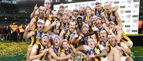 Vfl Grand Final Box Hill Hawks Premiership Completes ‘massive Finals