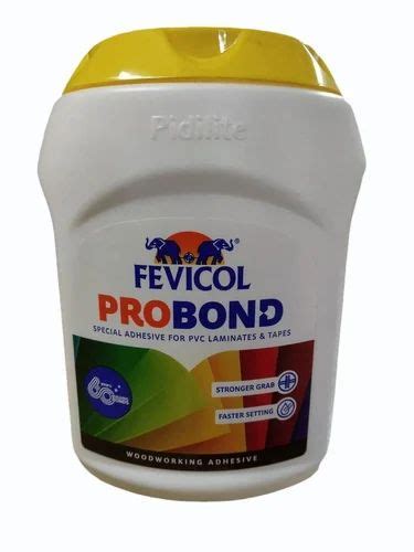 1 Kg Fevicol Probond Adhesive At ₹ 407kg In Hyderabad Id 20210240391