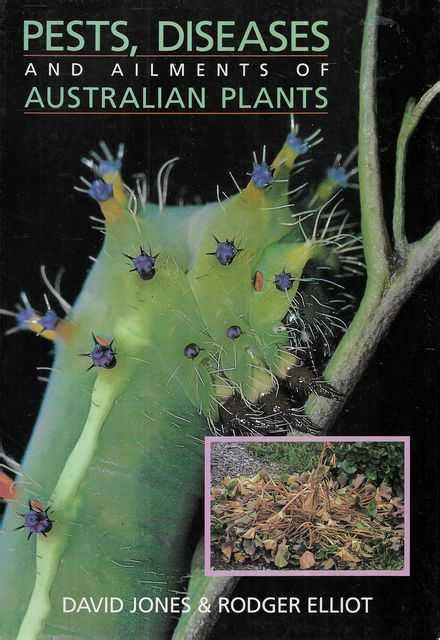 Pests Diseases And Ailments Of Australian Plants