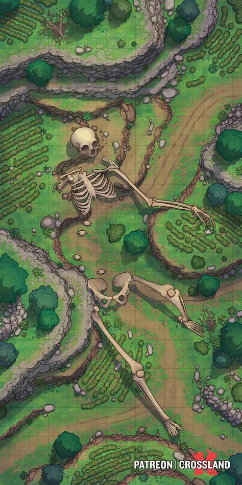 Field with Giant Skeleton [25x50] : r/battlemaps