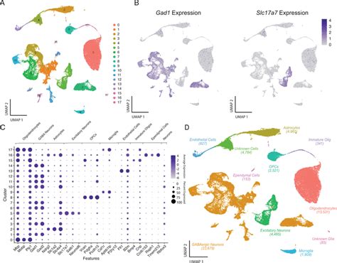 Identification Of Major Cell Types Within The Cea A Umap Plot Of 58640