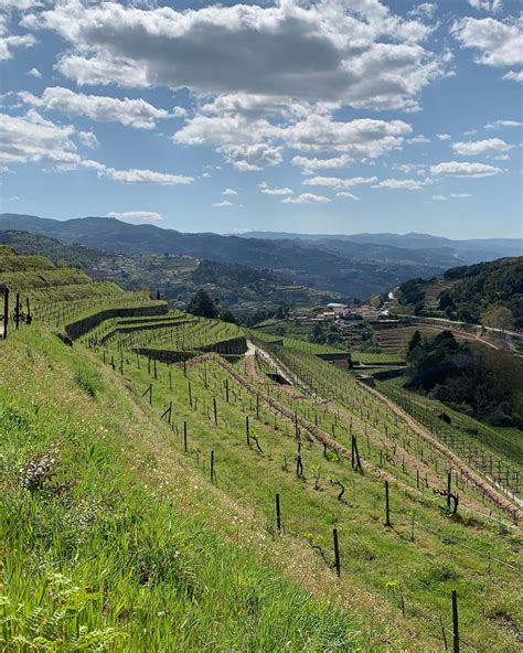 A D Wines Quinta De Santa Teresa En Bai O Reserve Su Visita