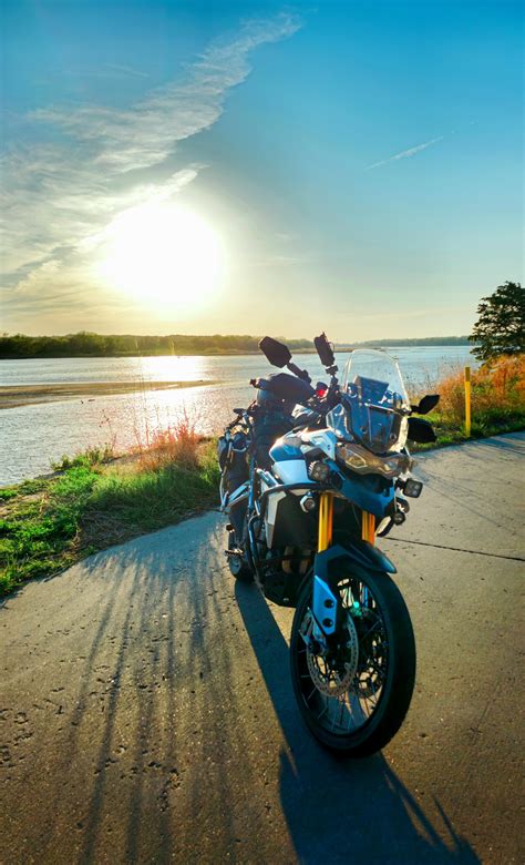 2020 Triumph Tiger Rally Pro [2492 x 4104] : r/MotorcyclePorn