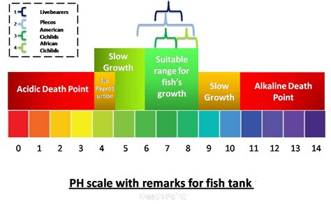 Printable Fish Tank Ph Level Chart