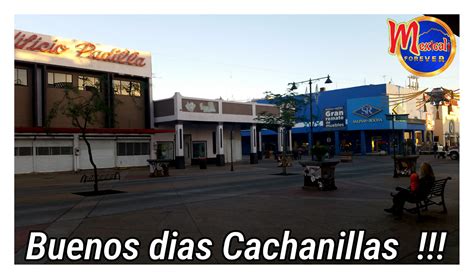 No Pierdas Nunca El Sentido Del Humor Y Mexicali Forever