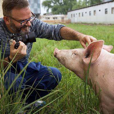 Transparenz Spendenaktion Land Der Tiere