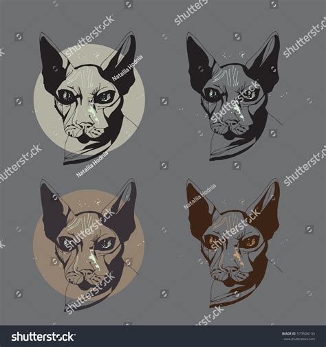 Cute Cats Hairless Naked Cats Sphinx Vector De Stock Libre De Regal As Shutterstock