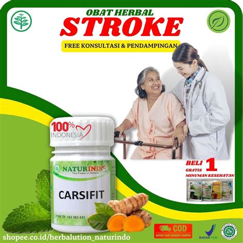 Jual Obat Stroke Ampuh Lumpuh Terapi Stroke Saraf Otak Struk Ringan