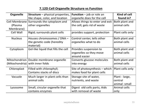 Cell And Macromolecules Ppt