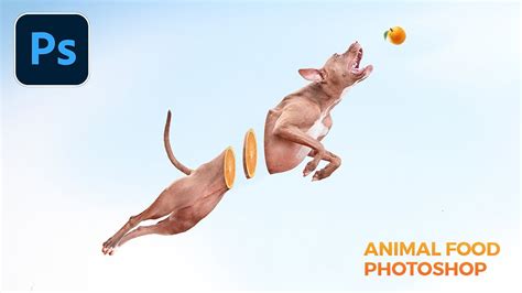 Tutorial Photoshop How To Create Animal Photo Manipulation Youtube