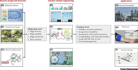 Enzyme Catalyst Engineering Toward The Integration Of Biocatalysis And