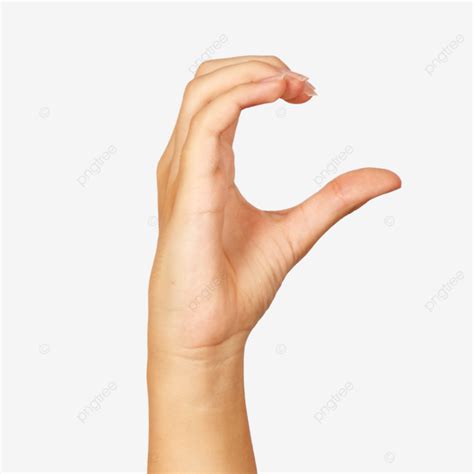 Display Of American Sign Language Letter C Demonstrated By A Aid