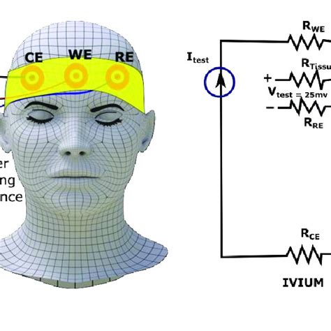 Impedance Measurement A Schematic Illustration Of Three Electrode Download Scientific