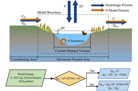 Study Finds Small Isolated Wetlands Are Pollution Catching Powerhouses