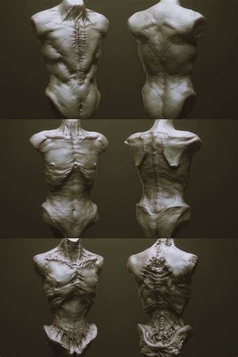 ArtStation TORSOS 33 Character Creature Zbrush Insertmesh Brush