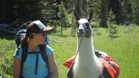 Womens Dunanda Falls Yellowstone Llama Trip Wildland Trekking