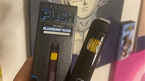 Push Halo Disposable Blueberry Kush Review Youtube