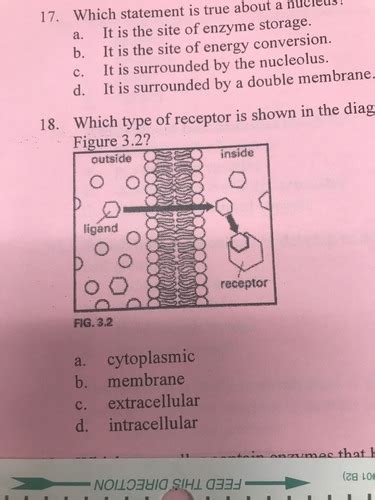 Mullen Final Chapter 3 Flashcards Quizlet