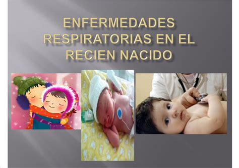 Pdf Enfermedades Respiratorias En El Recien Nacido Dokumen Tips