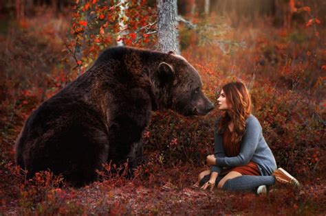 How I Created A Magical Bear Photo Petapixel