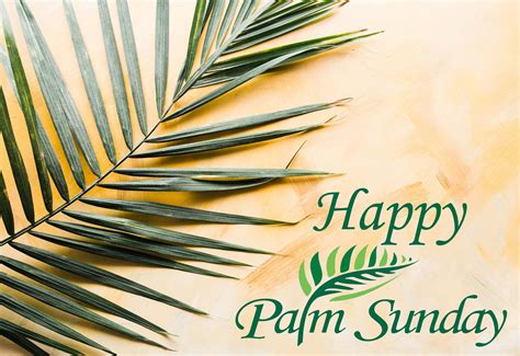 Happy Palm Sunday Pictures Best Happy Easter Images 2024 🐰 Easter