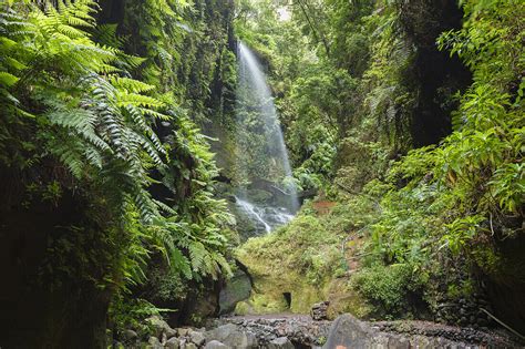 Cascada De Los Tilos Waterfall License Image Lookphotos