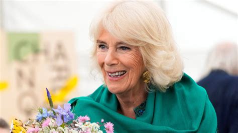 Queen Camilla surprises in animal print dress | HELLO!