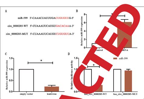 Figure 1 From The Interaction Between Circular Rna Hsa Circ 0000285 And