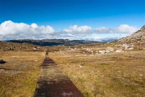 Premium Photo Hikers Walk On The Kosciuszko Walk Near The Summit Of